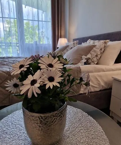 Appartamento Hexagon Nr 23